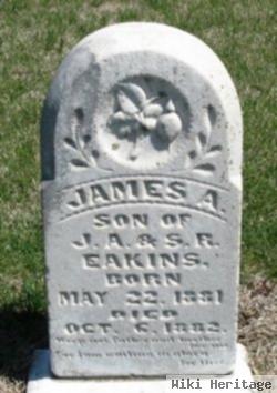 James A Eakins