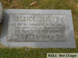 Ellice Seelye