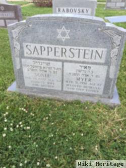 Sonia Kanow Sapperstein