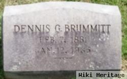 Dennis G Brummitt