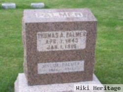 Thomas A. Palmer