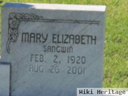 Mary Elizabeth Sangwin Debus