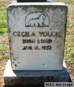 Cecila Volcik