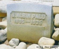 John Albin Palo