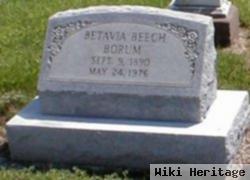 Betavia Beech Borum