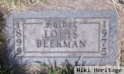 Louis D Beekman