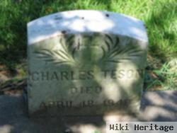 Charles Teson