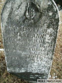 Mary Ann Tillotson Wilcox