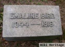 Emeline Bird