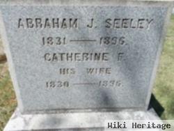 Abraham J Seeley