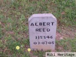 Albert Reed