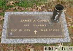 James Arthur Gandy