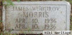 James Woodrow Morris