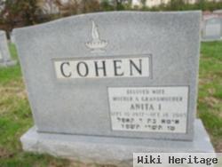 Anita Irene Shulman Cohen