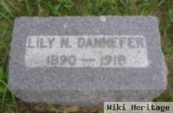 Lillian Ann "lilly" Nutter Dannefer