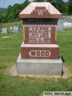 Ida B Tanner Wood