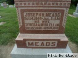 Joseph Hays Meads