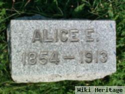 Alice E Calkins