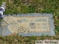 Nettie Ann Cantrell Porter