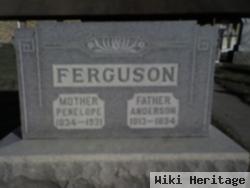 Anderson Ferguson