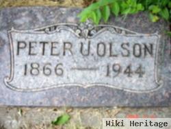 Peter U Olson