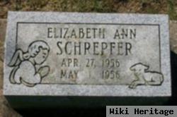 Elizabeth Ann Schrepfer