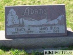 Tracy William Adams