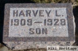 Harvey L Summerfield