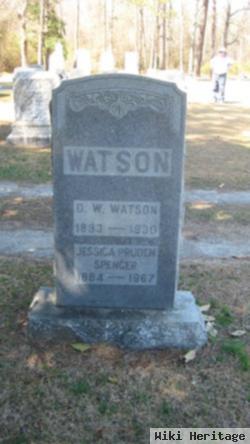 David Wallace Watson