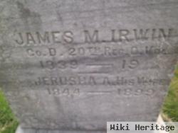 James M. Irwin