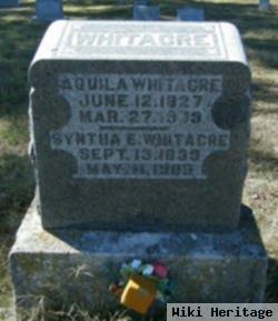 Aquila Whitacre