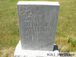 Harold R Williams