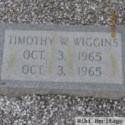 Timothy W Wiggins