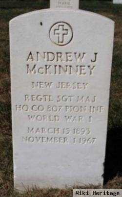 Andrew J Mckinney