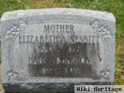 Elizabeth A. Nesbitt