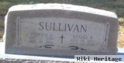 Patrick J Sullivan