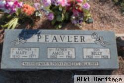 Amos E. Peavler