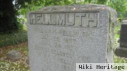 William H Hellmuth