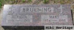 Herman Bruening