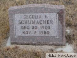 Cecelia E. Perk Schumacher