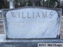 Sarah Hester Williams