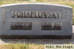 Andrew Benedict Schaplowsky