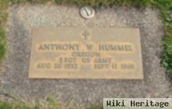 Anthony W Hummel