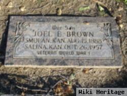 Joel E Brown