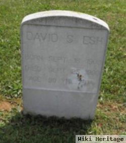 David S Esh