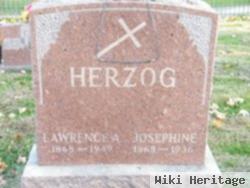 Lawrence A. Herzog