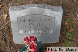 George Amos Walter