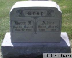 Dora Alice Ward Bray