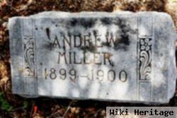 Andrew Miller