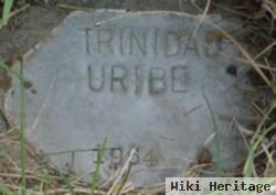 Trinidad Uribe